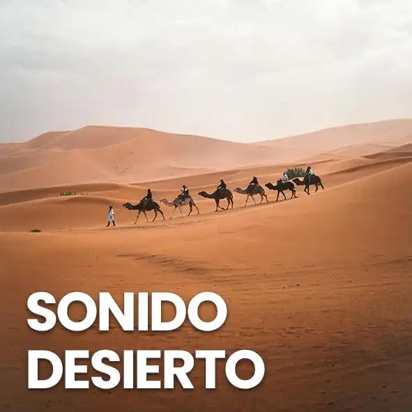 sonido ambiente del desierto