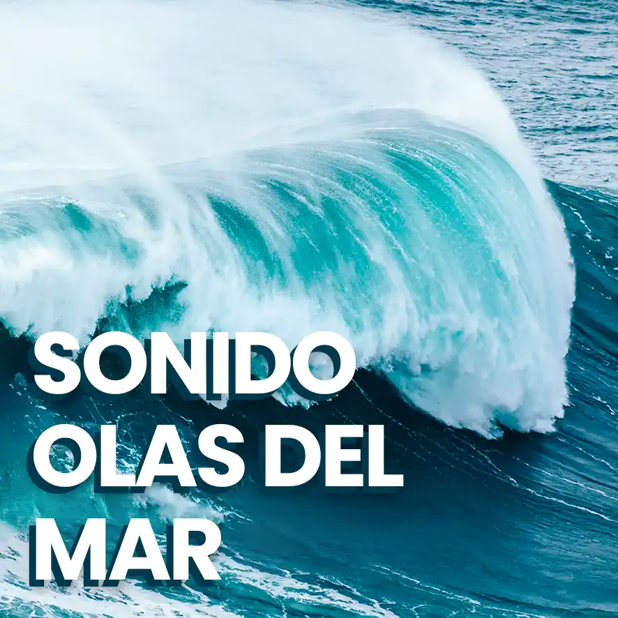 sonido olas del mar